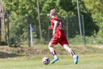 Bild 319 - wBJ Hamburger SV - Hertha BSC : Ergebnis: 5:2